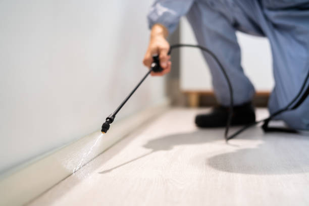 Licensed Fumigation Services service in Indian Springs, GA - Nex Pest Control