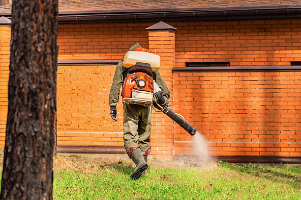 Trusted Ant Control service in Indian Springs, GA - Nex Pest Control
